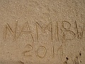NAMIIA 2011 063